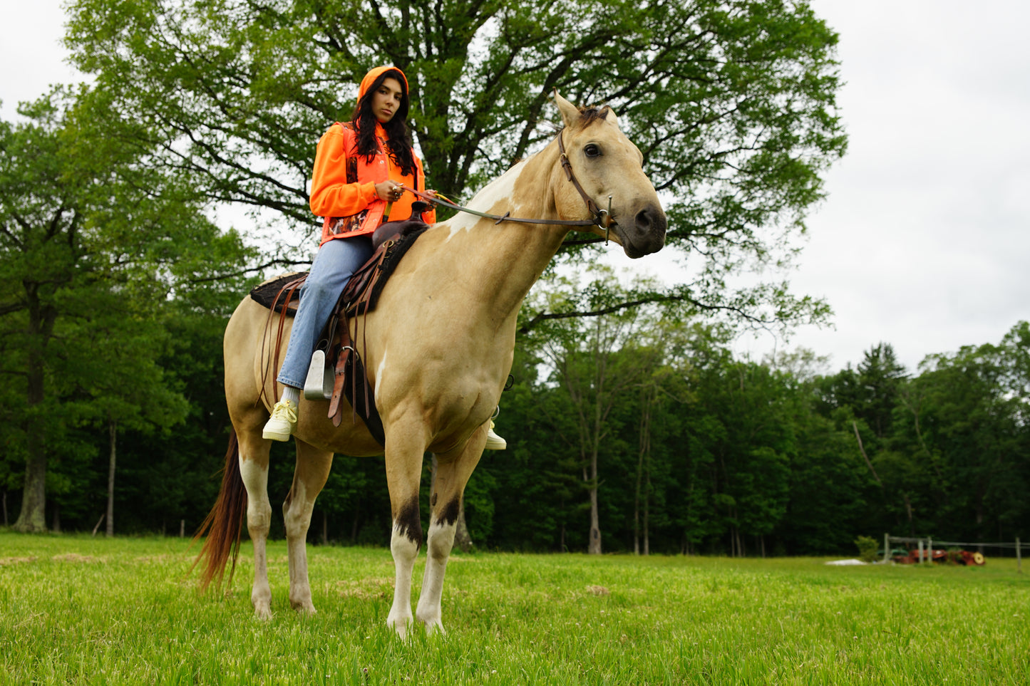 HORSE HOODIE - 2022